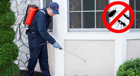 Sığacık Fare İlaçlama böcek ilaçlama ve haşere kontrolü — ilaclama-tr.com